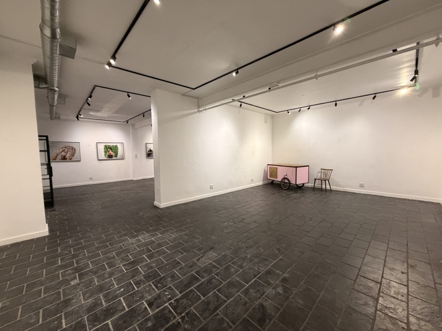 To Let Commercial Property for Rent in Cape Town City Centre Western Cape